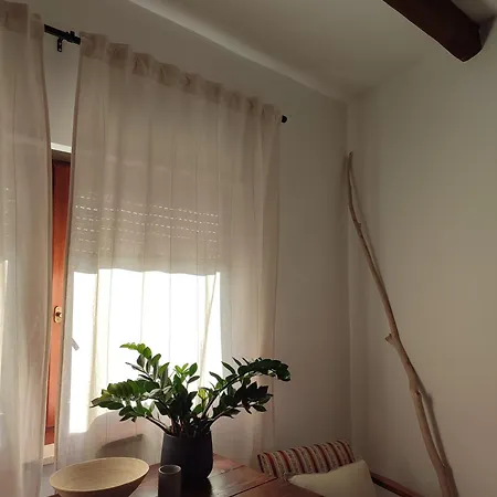 Away From Apartamento *